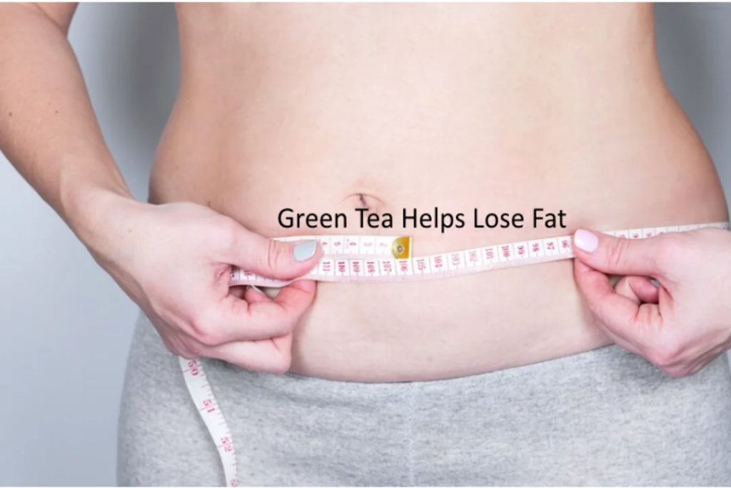 How Green Tea Helps Weight Loss