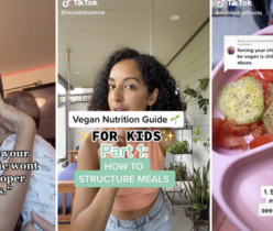 Many moms on TikTok are promoting a vegan diet for their infants and toddlers.