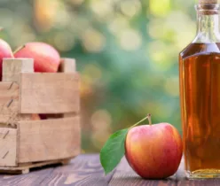Best apple cider vinegar for weight loss